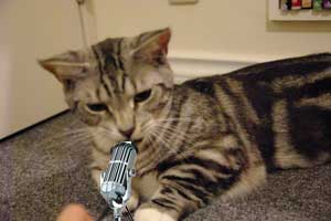 魂を込めて歌います 魂を込めて歌います
